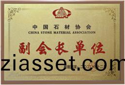 副會(hui)長單位(wei)