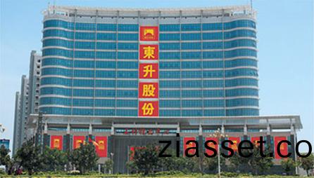 福建省(sheng)東陞石(shi)業(ye)股份(fen)有(you)限公(gong)司(si)成(cheng)立